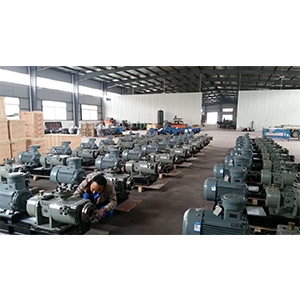 HYST系列油站專(zhuān)用三螺桿泵圖二產(chǎn)品圖2