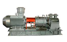 2GbBRT-系列高溫不銹鋼雙螺產(chǎn)品圖13